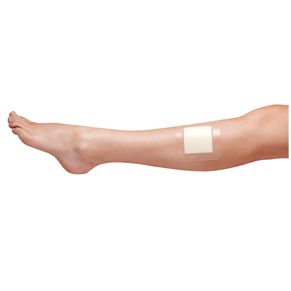 AFPA0372_04_1000px.png AFPA0372_04_1000px.png