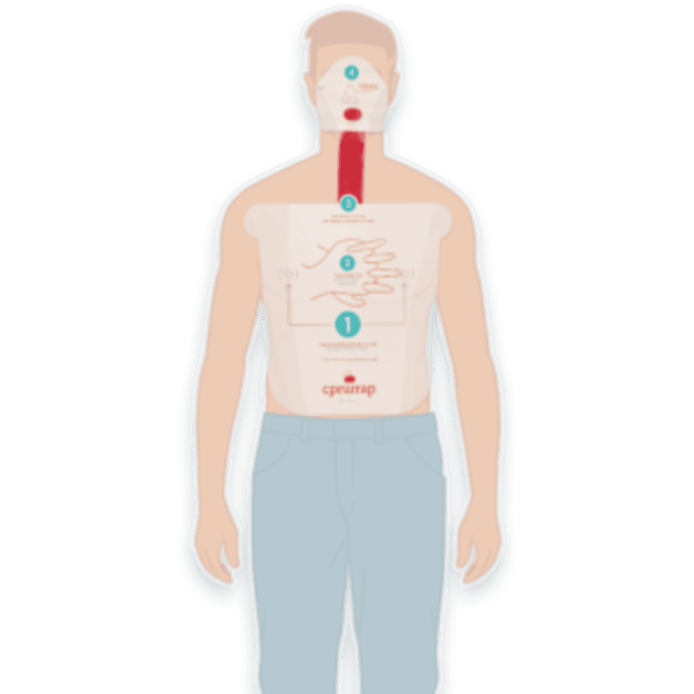 CSV3V3_06_1000px.png CSV3V3_06_1000px.png